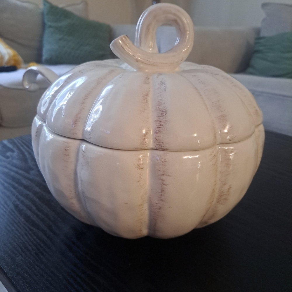 Elegant White Ceramic Pumpkin Decor or Soup Bowl.. Spoon Not Included.